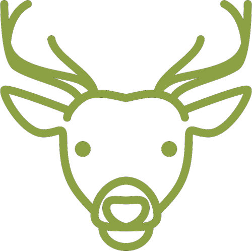 Statistiky jelenovitých a velbloudovitých